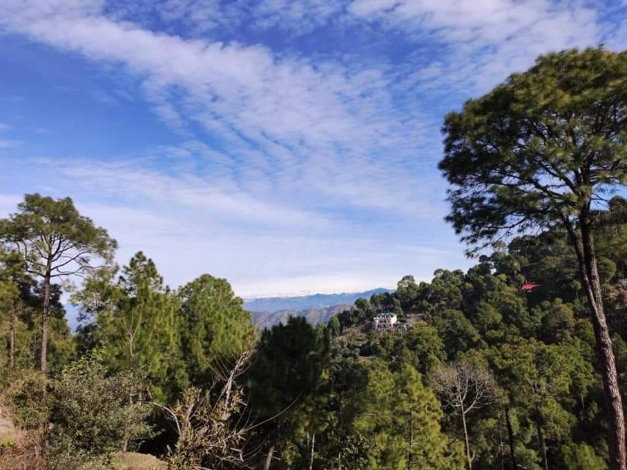The Asgard Kasauli Acomodação com café da manhã Exterior foto