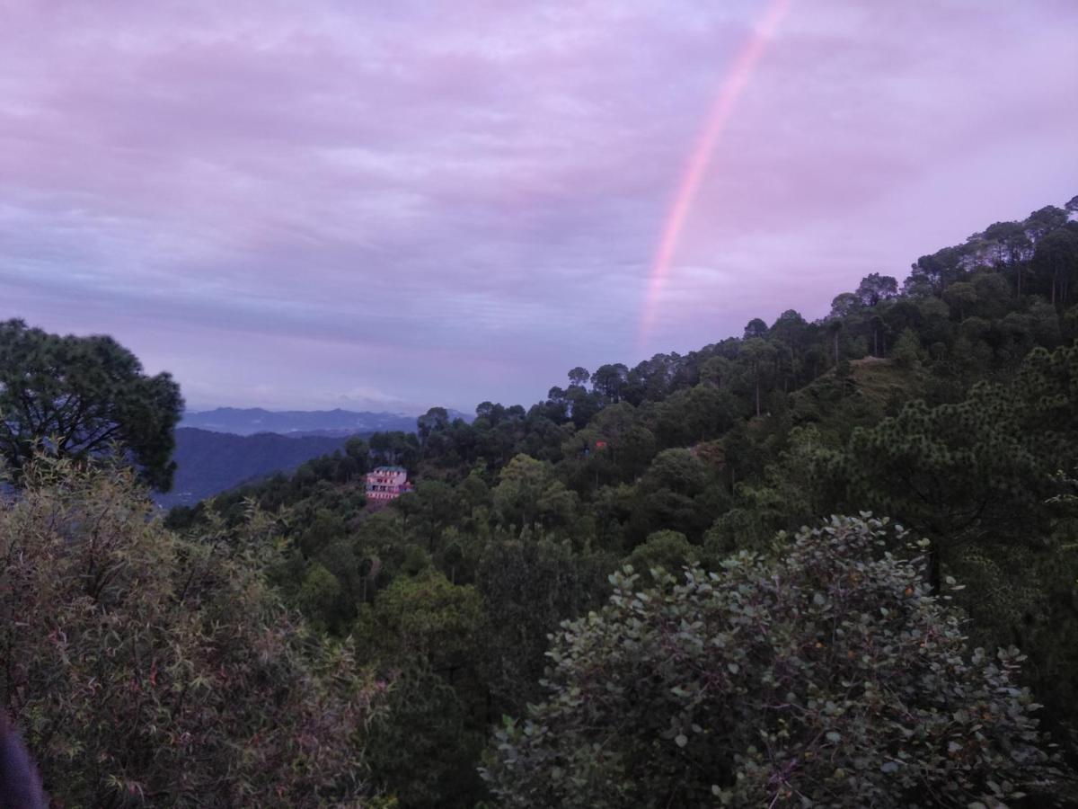 The Asgard Kasauli Acomodação com café da manhã Exterior foto